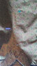江南布衣（JNBY）夏季连体衣100%棉印花休闲通勤衬衫领短裤5M3F13590 950/红色系多彩混杂 M 晒单实拍图