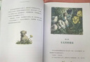 海豚百年经典文库 爱丽丝梦游奇境 7-14岁儿童文学中小学课外阅读世界经典文学名著读物童话书籍 实拍图