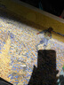 梵高丰收油画世界名画客厅沙发背景墙装饰画大气餐厅壁画三联挂画 红色葡萄园 50*40CM布纹膜单联画 实拍图