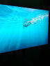 三星（SAMSUNG）75英寸4K超高清HDR窄边框游戏大屏液晶壁挂显示器 电脑显示屏 会议屏内置音响 晒单实拍图