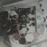 EXO-K：1st MINI ALBUM MAMA （CD） 实拍图