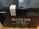 佳能（Canon）EOS R6 Mark II R62二代微单相机 专业级vlog直播相机 R6II R6II+RF 24-105 USM 镜头套机 套餐一【基础入门+送799摄影大礼包】 晒单实拍图