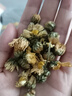 北京同仁堂桐乡胎菊王菊花茶胎菊王桐乡正宗杭白菊花茶大菊花茶贡菊头茬新货 买一送一：实发两罐共250克 实拍图