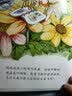 我的日记系列·蜻蜓的日记 新版 实拍图