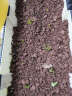 易栽乐（Yizail） 2.5S种植箱阳台种菜种花花盆学校绿化园艺用品屋顶阳台菜园 4联种植箱160*40*26cm 实拍图