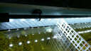 云峰海瑞 LED龙鱼缸灯水陆两用水中水草灯水族箱LED鱼缸灯具防水灯 A78CM蓝白红选一色 实拍图