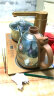 金灶（KAMJOVE） 全智能电热水壶自动加水茶艺炉 304不锈钢保温煮茶器电茶壶套装 V3 37cm*23cm 0.9L 实拍图