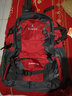 阔动户外双肩背包男登山包大容量多功能70L背包女休闲旅行包徒步野营 1041小款红色40L 实拍图