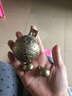 咪贝萌复古清脆虎头铜铃铛宠物项链猫咪小狗泰迪大狗金毛项圈防走失用品 直径5.5CM大风调 均码 实拍图