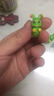 微景观摆件 园艺多肉植物花盆迷你DIY装饰生日蛋糕仿真动物人物卡通创意花园花盆迷你工 毛毛虫 / 单个装 实拍图