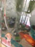 易萌 鱼缸用品水族箱配件气泡石软管止水阀三通阀调节阀气泡石气泡盘 氧气管吸盘2个 实拍图