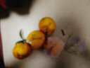 [远安馆]湖北秭归橙子 现摘现发脐橙新鲜水果夏橙 5斤65-70mm 实拍图
