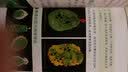 翡翠玉石选购与鉴赏 实拍图