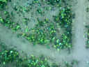 艾尼提便携显微镜wm461wifi显微镜 显微放大镜 文物陶瓷鉴定显微镜 晒单实拍图