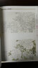 新编养心斋描摹画谱：工笔牡丹 实拍图