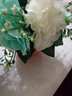 爱泽宝 仿真花假花塑料花干花陶瓷花瓶客厅餐桌摆件装饰花 书架隔板仿真花艺 工艺品多色可选 绿花瓶+水蓝绣球 实拍图