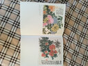 墨点美术 历代经典名画高清本 国画技法入门教程 工笔画菊花精选国画花鸟菊花牡丹临摹基础入门书籍 实拍图