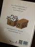 头顶上有鹦鹉的女孩-精选新锐作家黛西·赫斯特  3-6岁（启发出品） 实拍图