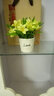 小菜菜家居（XIAO CAI CAI） 塑料花摆件绿色盆栽仿真花套装饰品客厅家居现代简约插花小花盆栽 LOVE多肉花器+玫红钻石玫 实拍图