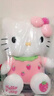 达娃hellokitty公仔玩偶毛绒玩具哈喽KT猫咪凯蒂猫布娃娃情人节礼物女 12寸30厘米富贵花 KT猫公仔 实拍图