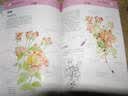 世界绘画经典教程：花卉绘制的重点与难点（绘客出品） 实拍图