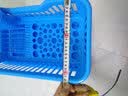 放碗架沥水架沥碗架晾碗柜厨房用品用具置物架餐具滴水塑料 正面沥水碗架蓝色 实拍图