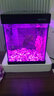博宇（BOYU）触控变色水族箱中式金鱼缸80客厅家用 桌面玻璃生态方形热弯玻璃 鱼缸带柜 XF-80白整套  实拍图