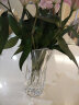 透明玻璃透明加厚花瓶摆件客厅插花花瓶干花富贵竹百合花瓶欧式餐桌水培花瓶 25凤尾高约24CM 实拍图
