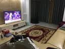 港龙  欧式地毯客厅茶几地毯卧室玄关会议室书房毯 03R 2.0m*2.8m 密度400V 重19.5斤 实拍图