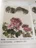 牡丹画谱 实拍图