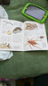 英国少儿插画百科 海洋生物 实拍图