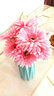 爱泽宝现代田园风格时尚细口玻璃花瓶小花插彩色透明客厅简约餐桌摆件 粉红非洲菊 实拍图