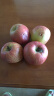 GREENHOW新西兰苹果新鲜水果进口加力果嘎啦果小加丽果 6颗装 实拍图