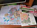 春天十字绣新款小件线绣牡丹花开富贵客厅手工自己绣小幅卧室书房花卉 4股线埃及棉6417 实拍图