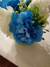 爱泽宝 仿真花假花塑料花干花陶瓷花瓶客厅餐桌摆件装饰花 书架隔板仿真花艺 工艺品多色可选 绿花瓶+水蓝绣球 实拍图