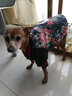 NINKIN狗狗衣服冬天法斗泰迪雪纳瑞比熊小型犬斗牛犬巴哥犬贵宾衣服冬装 酷炫牛仔花款 M-建议10-15斤穿 实拍图