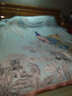 雅鹿100%纯棉床上四件套裸睡床单被套双人家用床笠被罩学生宿舍三件套 樱桃小狗【100纯棉 适合裸睡】 1.8m 床单款 四件套-被套200*230cm 实拍图