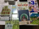 波特小姐与比得兔 精装绘本 亲子共读 麦克米伦世纪童书馆 走进波特小姐的童话世界 揭秘比得兔的诞生故事 激发孩子想象力 幼儿园启蒙 儿童绘本 友谊成长 3-6岁 实拍图