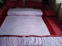 星晨（XING CHEN）版简约床上用品四件套纯棉全棉床裙款防滑床罩被单被套 罗马巨风粉色四件套 1.8m床（200*230cm被套） 实拍图
