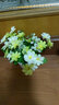 小菜菜家居（XIAO CAI CAI） 塑料花摆件绿色盆栽仿真花套装饰品客厅家居现代简约插花小花盆栽 LOVE多肉花器+嫩绿小翠花 实拍图