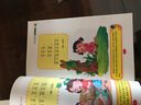 多色绘画彩色铅笔 美术手绘油性彩铅套装 填图涂色数独彩笔  绘画本赠品专用 12色彩铅 实拍图