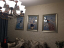 艺米 客厅装饰画现代简约壁画沙发背景墙画挂画欧式餐厅麋鹿孔雀有框三联画 鸾凤和鸣-香槟银框（复式装裱+高透有机玻璃） 70*90豪华套装(适合4米以上沙发背景墙) 实拍图