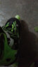 美洲狮（COUGAR） 轮滑鞋可调成人儿童套装溜冰鞋 闪光男女旱冰鞋滑冰鞋 LSG/P6 黑绿(八轮全闪)(全套) M(实际31-36码) 实拍图