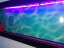 云峰海瑞 LED龙鱼缸灯水陆两用水中水草灯水族箱LED鱼缸灯具防水灯 24键遥控+手控变色140CM 实拍图