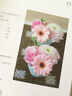 微花园：花的美搭物语（全彩） 实拍图