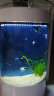 云峰海瑞 LED龙鱼缸灯水陆两用水中水草灯水族箱LED鱼缸灯具防水灯 A58CM蓝白红选一色 实拍图