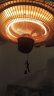 雷仕德朗（ROSTDL） 户外电暖器悬吊式顶挂式伞形取暖器家用酒店别墅餐厅壁挂取暖炉 1500W拉绳【银色】 晒单实拍图