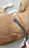 米卡杉迦中型犬大型犬狗绳牵引绳金毛哈士奇萨摩耶狗项圈遛狗绳狗狗链子 黑色 M号(20-40斤内) 实拍图