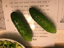 密园小农 密云本地7寸黄瓜 新鲜蔬菜 1.5kg 实拍图
