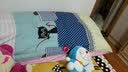 南极人全棉被套单件150x200cm纯棉被罩1.5x2米床上用品套件宿舍单双人床 蓝色泡芙狗 【100%全棉 亲肤柔软】 单被套200*230cm 实拍图